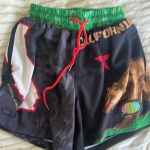SLUNKS volleyball shorts - limited edition CA shorts - men’s size XXXS